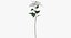 Ensemble floral blanc 01 - 27 produits