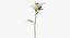 Ensemble floral blanc 01 - 27 produits