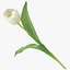 Ensemble floral blanc 01 - 27 produits