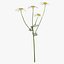 Ensemble floral blanc 01 - 27 produits