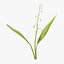 Ensemble floral blanc 01 - 27 produits