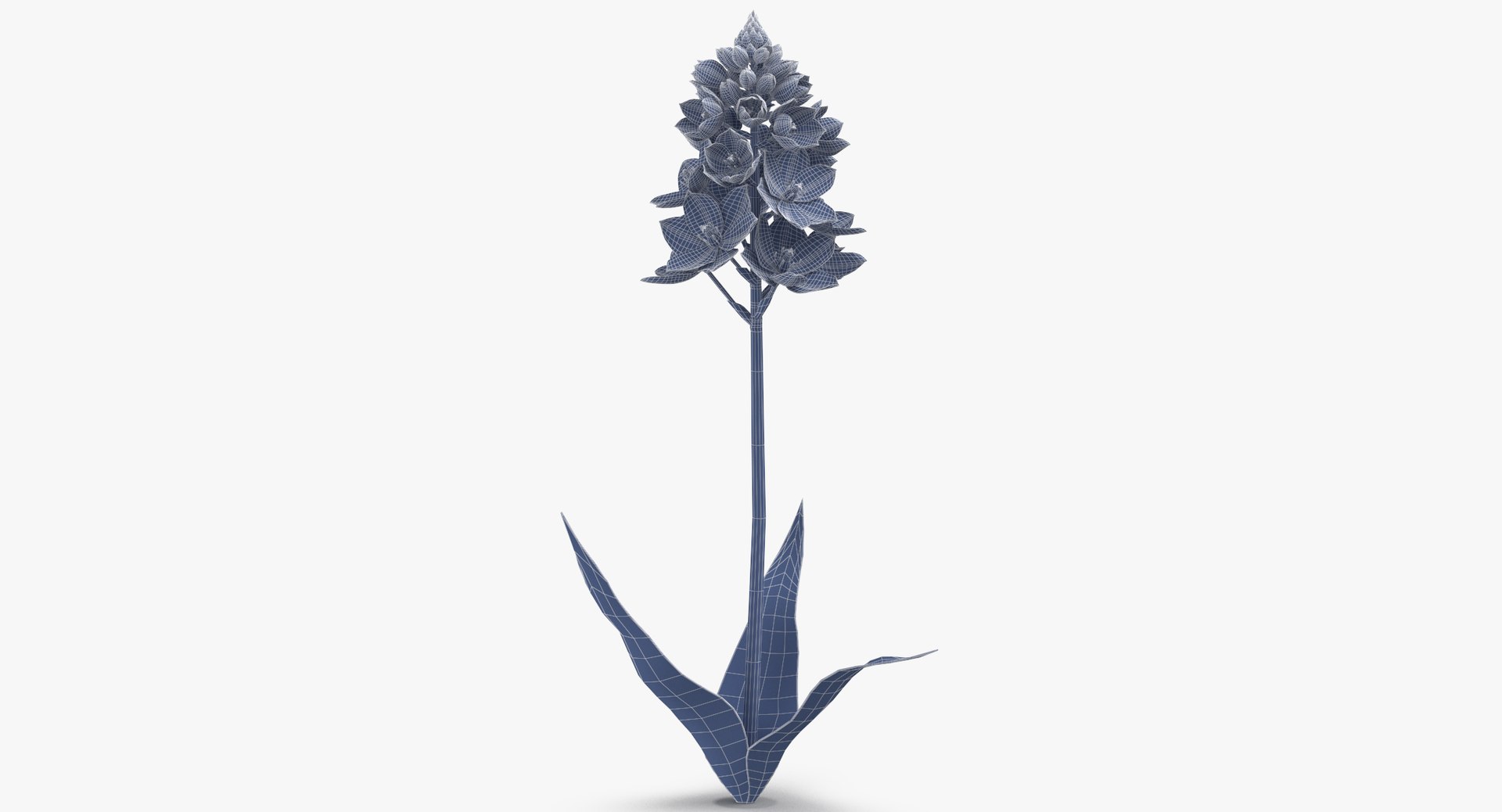 3D white floral set 01 model https://p.turbosquid.com/ts-thumb/WT/fKioqd/zvjpGrwX/ornithogalum_white_wireframe_0001/jpg/1569416447/1920x1080/fit_q87/5bfd6ed65fd5cb33d99ab68461c702d7f78cc399/ornithogalum_white_wireframe_0001.jpg