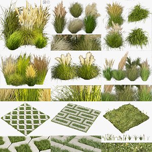 Collection plant vol 01 grass 3D