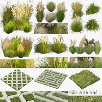 Collection plant vol 01 grass