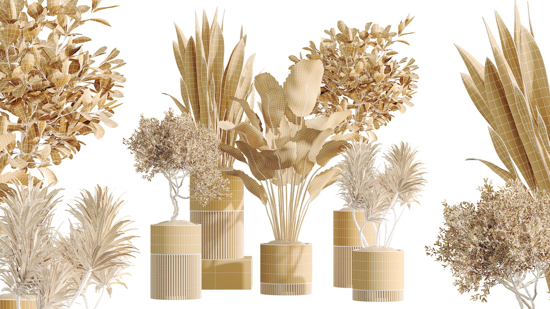 AV Indoor Plants Set 508 Yucca Ficus microcarpa Calathea Lutea Sansevieria Olive 3D model https://p.turbosquid.com/ts-thumb/WT/l03EAQ/Bj/07/png/1791789281/1920x1080/fit_q87/46af5a1667aa10006c1bdc8b74073cce0730e335/07.jpg