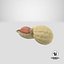 Open Peanut Shell with Kernel