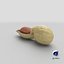 Open Peanut Shell with Kernel