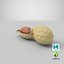 Open Peanut Shell with Kernel