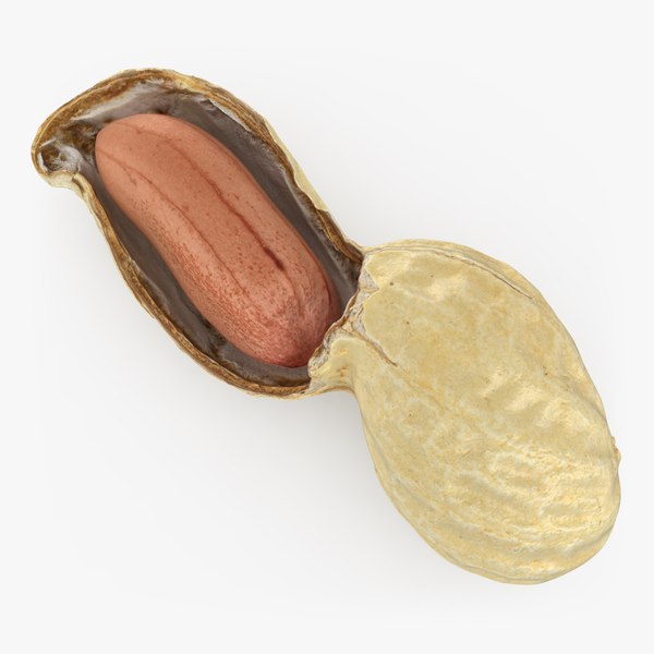 Nuts glTF Models for Download | TurboSquid
