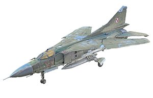 Russian Fighter