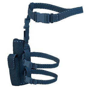 Holster