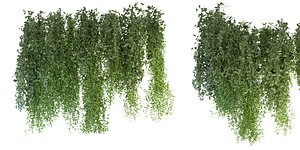 3D Collection plant vol 165 - blemder model