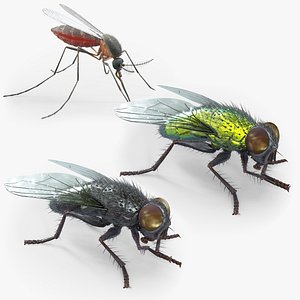 Flying Insects Collection Rigged 3D model