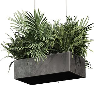 plant vol 1010 - palm - bush - fern - hanging 3D
