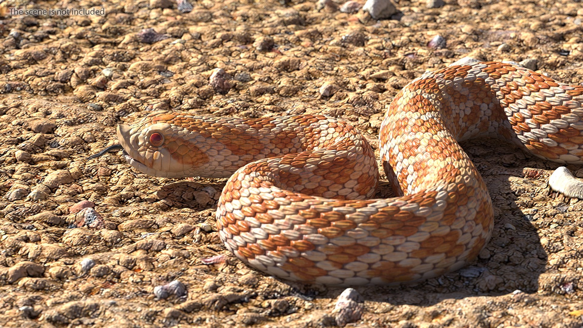 3D Model Beige Hognose Snake Rigged - TurboSquid 1476114