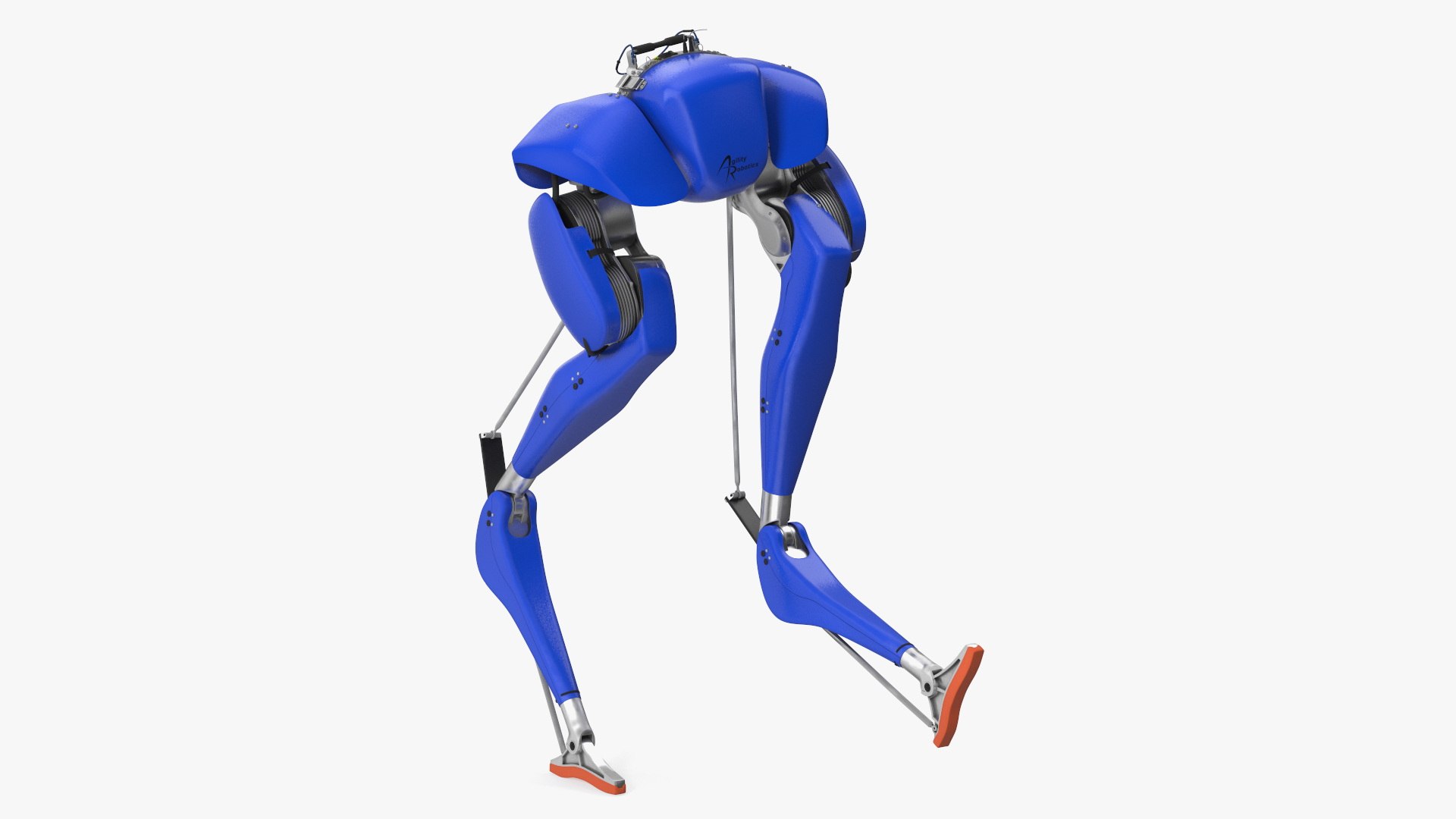 Cassie Robot Blue Rigged for Maya 3D model preview