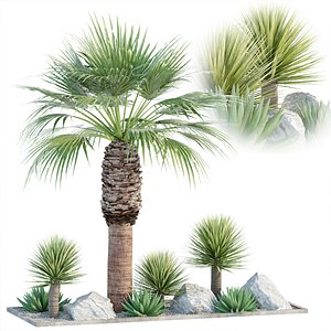 3D Outdoor Palm Garden collection vol 146