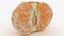 Half Peeled Mandarin