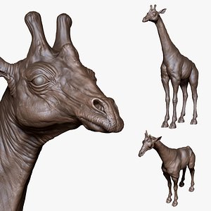 Giraffe 3D model