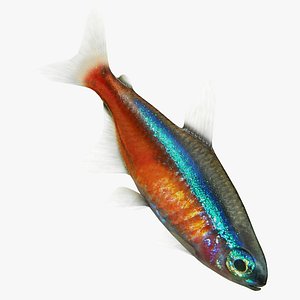 neon fish 3D model