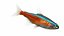 Underwater Animals Big Collection 34 in 1