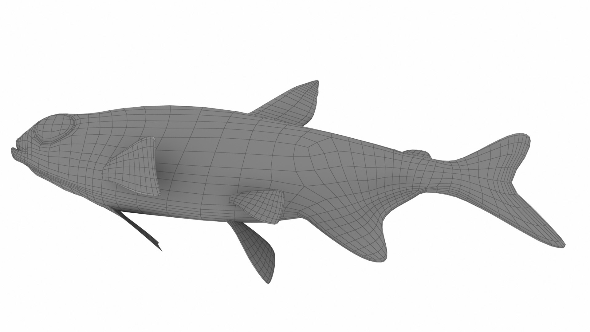 neon fish 3D model https://p.turbosquid.com/ts-thumb/WV/1EmRMw/XwXqR5DF/w4/jpg/1577240853/1920x1080/fit_q87/5fabc31cbae016848fcf6a56a104063b64a3a3bb/w4.jpg