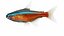 Animated Neon Fish