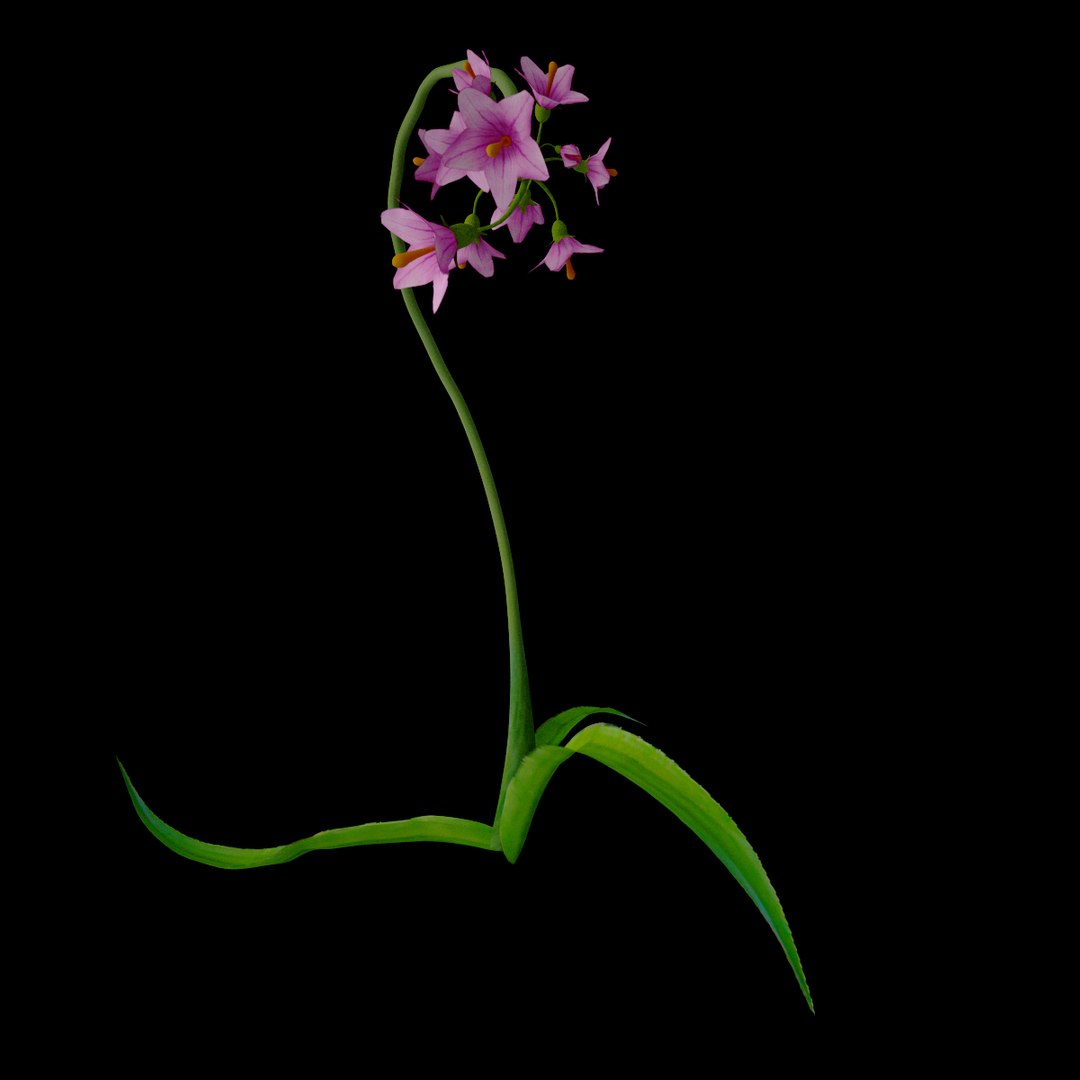 flowers open animation model https://p.turbosquid.com/ts-thumb/WV/LZGm5Y/ngSXsAsy/010/jpg/1595933565/1920x1080/fit_q87/c1692465d998468dfcbdb0081c546a548d4ed4f3/010.jpg