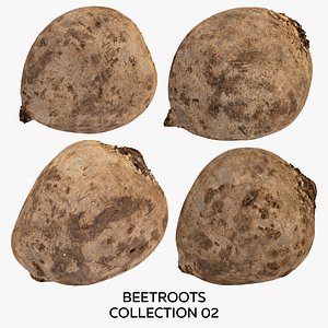3D Beetroots Collection 02 - 4 models RAW Scans model