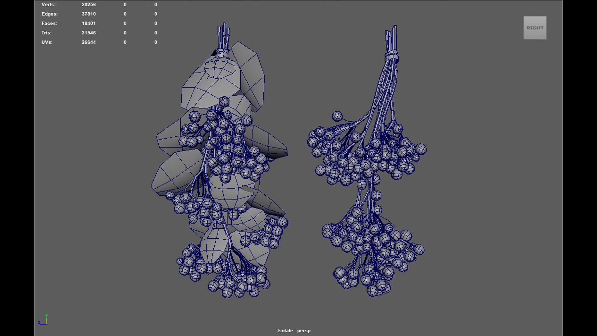 3D Guelder rose red berries with leaves model https://p.turbosquid.com/ts-thumb/WV/SRehlo/hf/wireframe/png/1673296906/1920x1080/fit_q87/03e5f00565c3aa61899c7b694ea86d26517565cb/wireframe.jpg