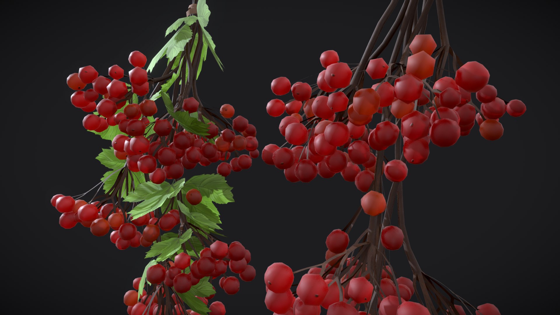 3D Guelder rose red berries with leaves model https://p.turbosquid.com/ts-thumb/WV/SRehlo/ml/guelder_rose__red_berries2/png/1673296902/1920x1080/fit_q87/dcadc8b1bb962b17ebb288f7abceeae4585ada90/guelder_rose__red_berries2.jpg