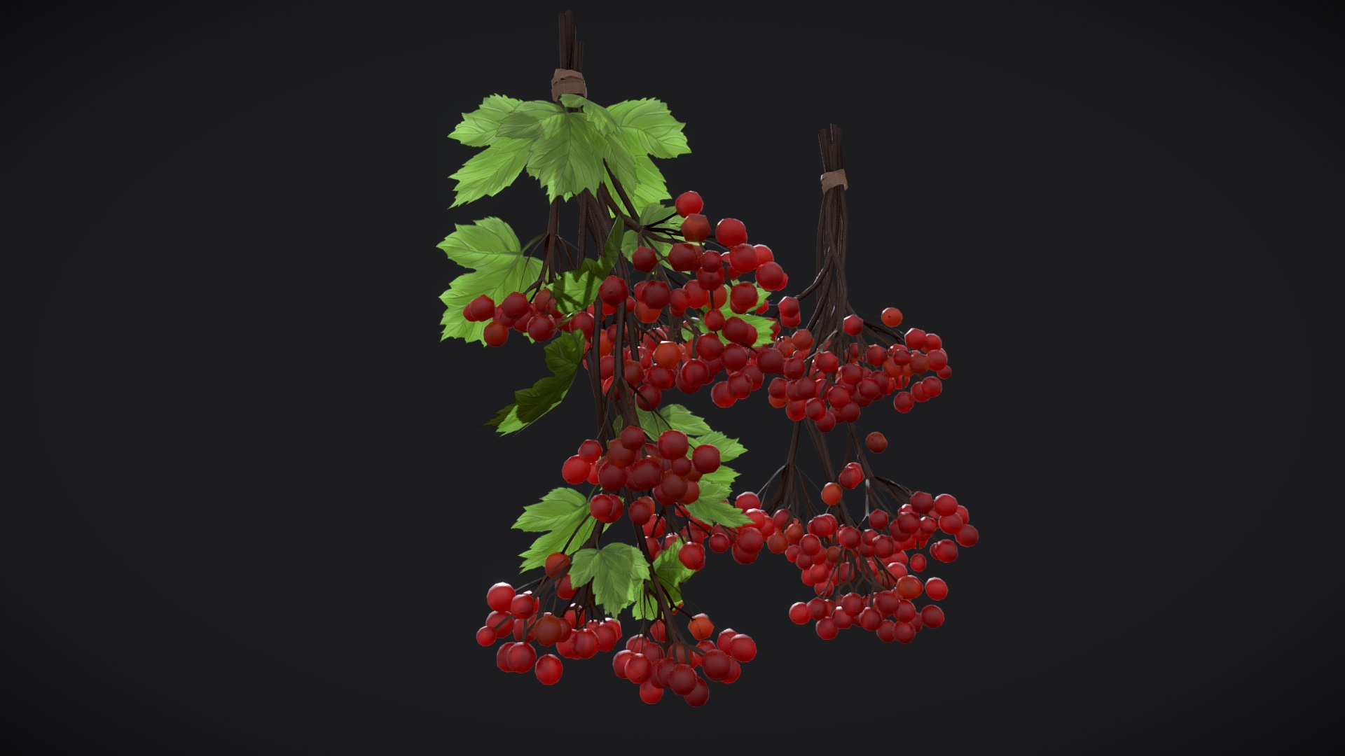 3D Guelder rose red berries with leaves model https://p.turbosquid.com/ts-thumb/WV/SRehlo/on/guelder_rose__red_berries1/png/1673296905/1920x1080/fit_q87/18e2d87ca41a1eb11e67ec79a5ac2454ede3dce8/guelder_rose__red_berries1.jpg