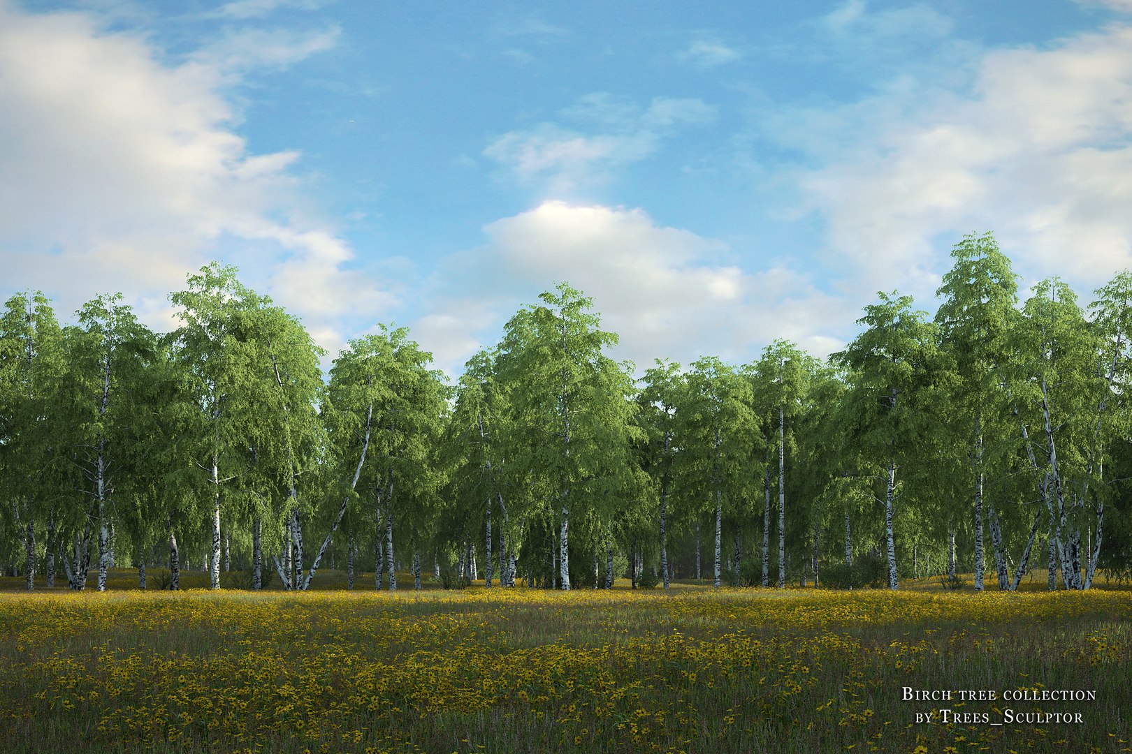 birch tree 3d model