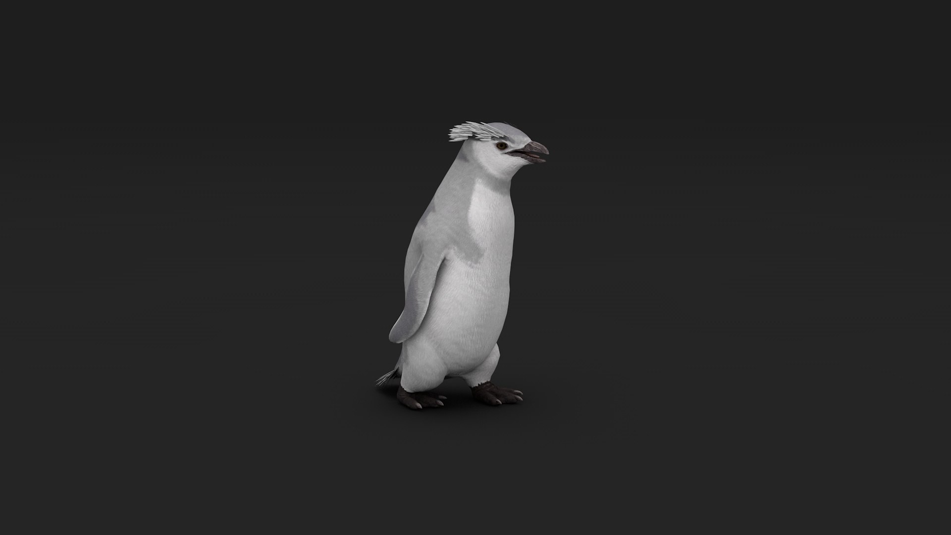 3D Model Penguin - TurboSquid 2351503