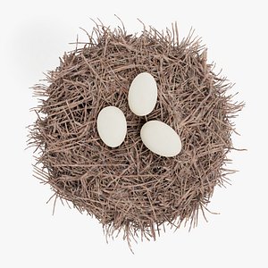 3D model Stork Nest with Eggs
