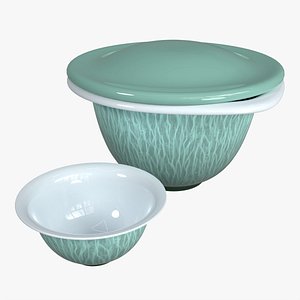 Japanese Tea Set Mino-yaki 3D