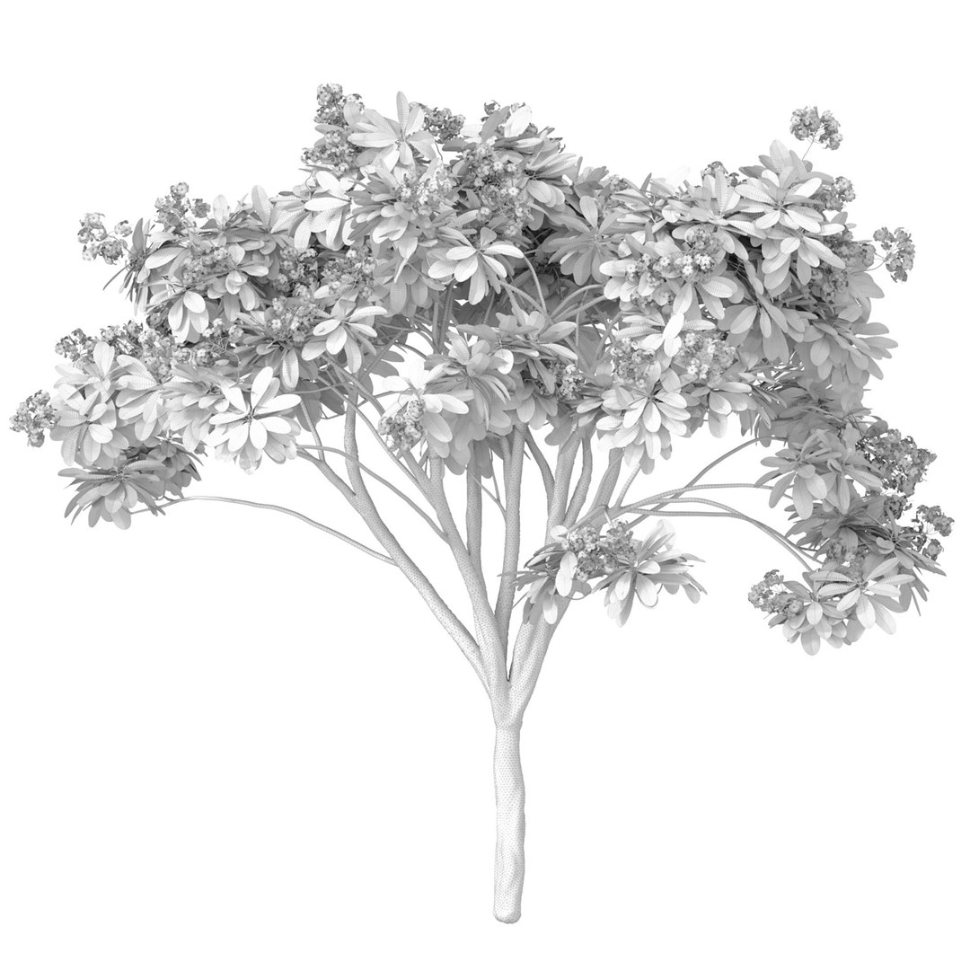 Decorative blooming outdoor garden tree with white flowers 3D model https://p.turbosquid.com/ts-thumb/WV/g67hoq/NG/3ddd3/jpg/1707226230/1920x1080/fit_q87/c5ffe4370f1e7c9a4b01a1848321d770abb7d1f8/3ddd3.jpg