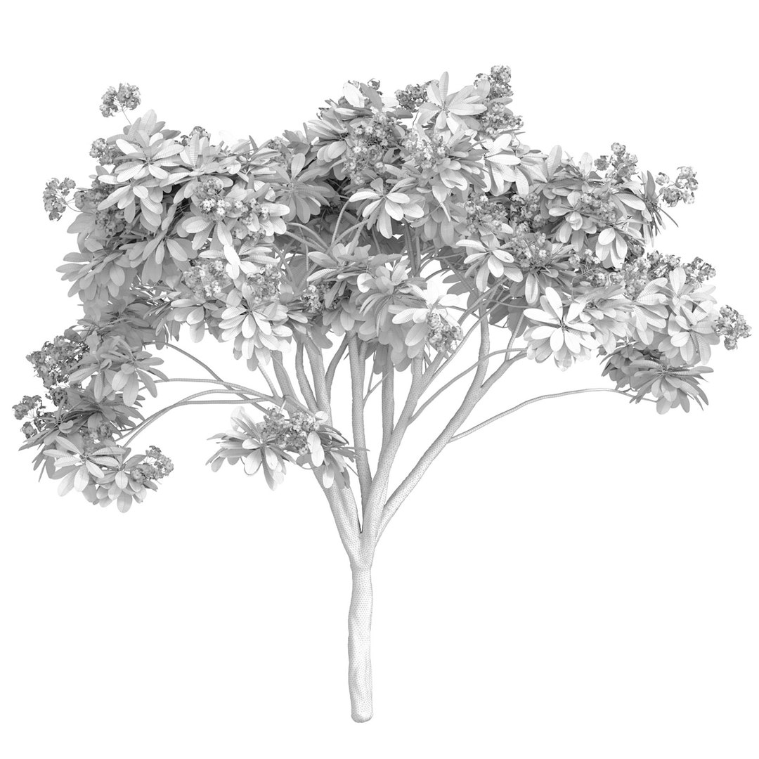Decorative blooming outdoor garden tree with white flowers 3D model https://p.turbosquid.com/ts-thumb/WV/g67hoq/vQ/gg2/jpg/1707226233/1920x1080/fit_q87/4b900226cb8805de715232b1a73c9d428a410a0a/gg2.jpg
