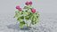 3D Geranium