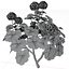 3D Geranium