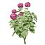 3D Geranium