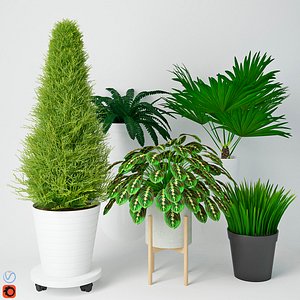 houseplant 9 3D model