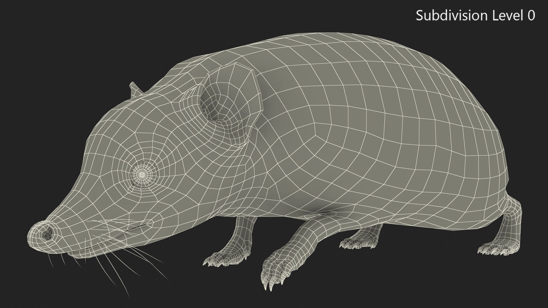 Walk Bald Hedgehog 3D Model - TurboSquid 2073266