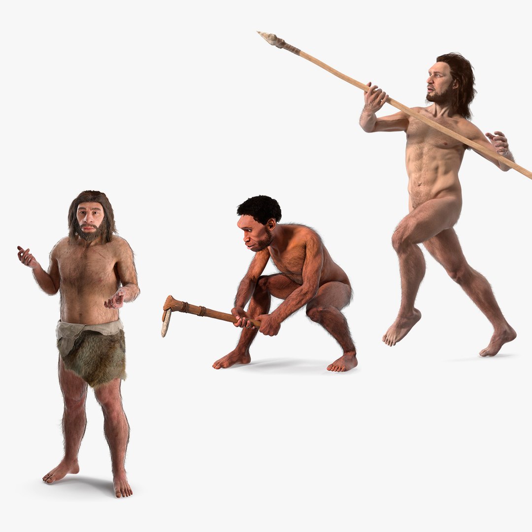 Cavemans Collection 3D model preview