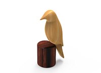 canary bird
