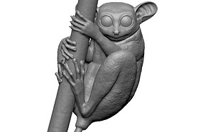 3D model tarsier branch eyes