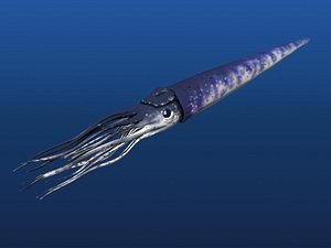 3d squid tentacles model