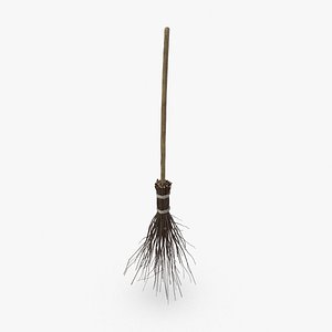 Witch Broom