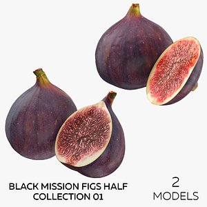 Black Mission Figs Half Collection 01 - 2 models 3D