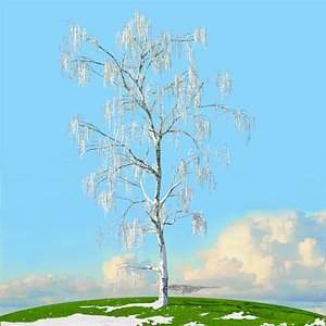 3D trees spring environment
